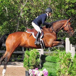 Meet your Posher, Margot